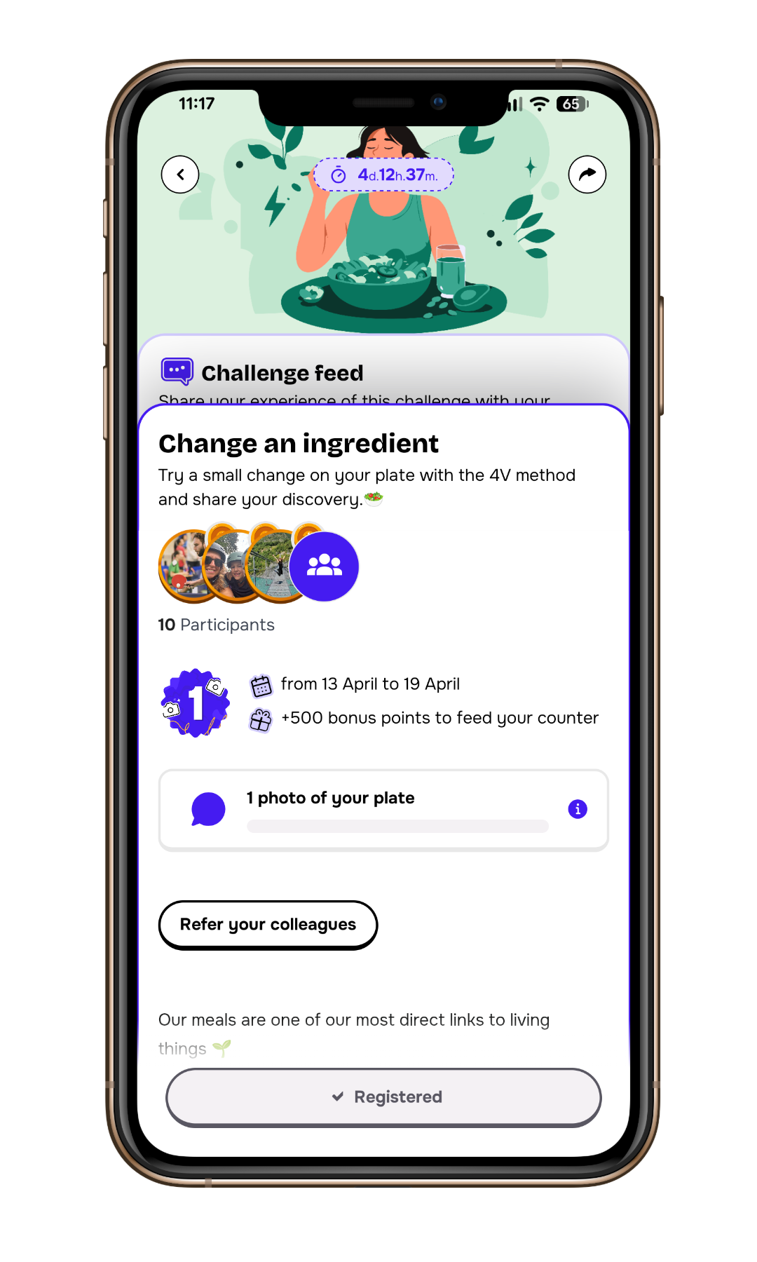 Feed in Challenge EN.png