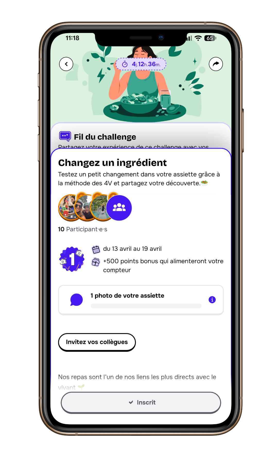 Feed In Challenge FR.png